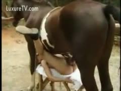 An attractive white wife of legal age who is eager and has a little body that is being penetrated by a horse
